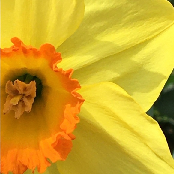 Meet your Posher, Claudia - Picture 4 of 5